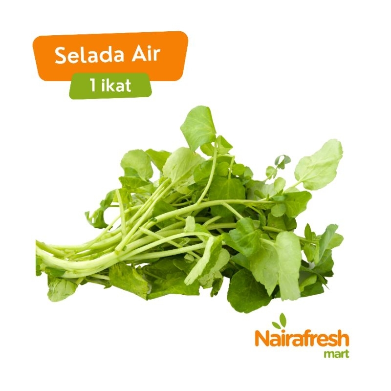 

Selada air (sayur segar)