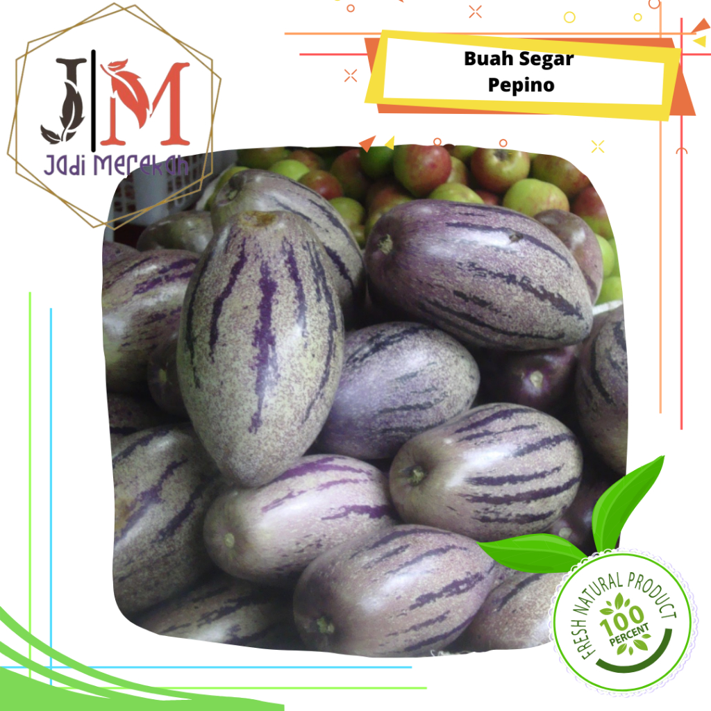 

[JM SoFresh] - Pepino Buah Segar