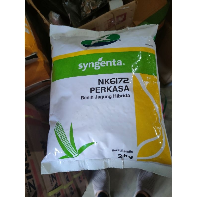 NK 6172/PERKASA 2KG