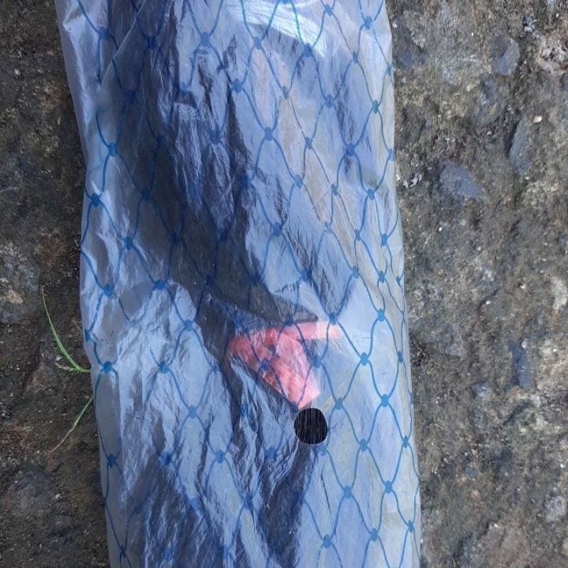 Jaring Ikan Panjang 100 YDS (90 meter)