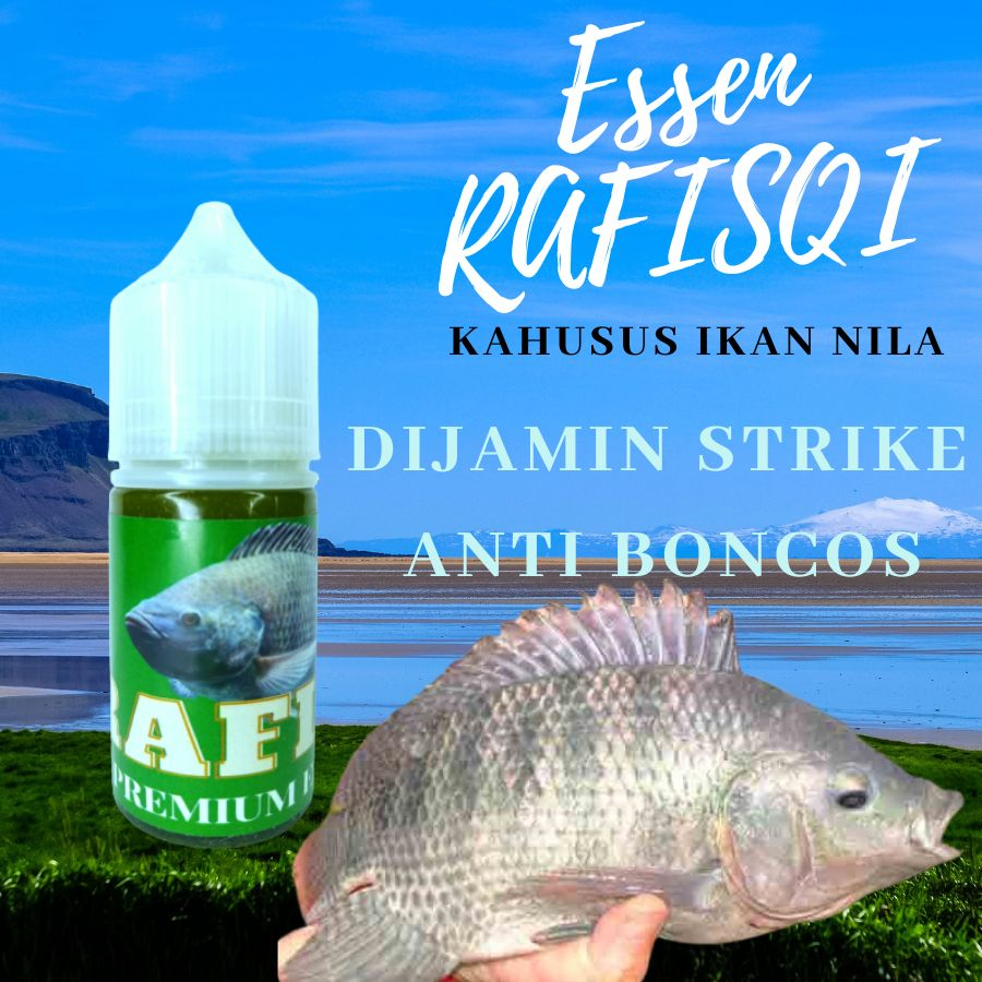 ESSEN NILA BABON/INDUK, essen ikan nila liar, essen nila harian, essen ikan nila harian