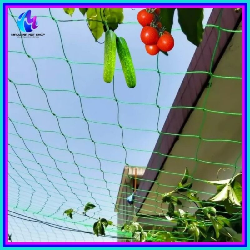 Plant Climbing Net (trellis net)/Jaring Tanaman Merambat/Jaring Tanaman Rambat/Jaring Rambat Tanaman
