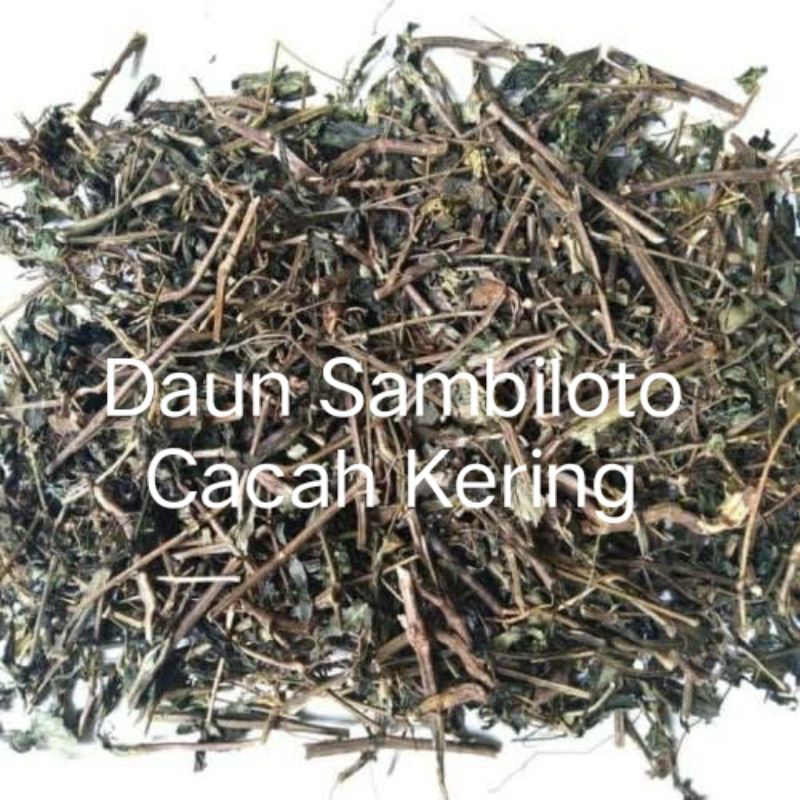 

Daun Sambiloto Cacah Kering 1kg/1000g