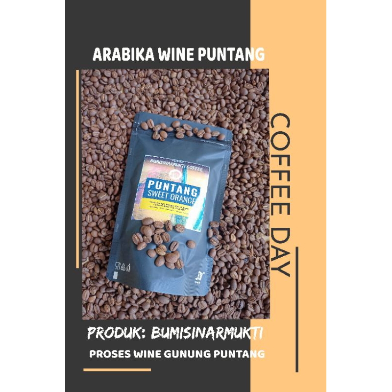 

BEST SELLER KOPI ARABIKA GUNUNG PUNTANG PROSES WINE 250 GRAM COD BAYAR DITEMPAT