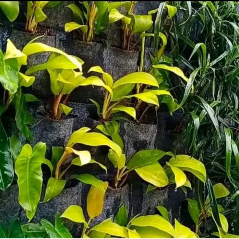 KARPET VERTICAL GARDEN POT BUNGA kantong 36 cotton sheet