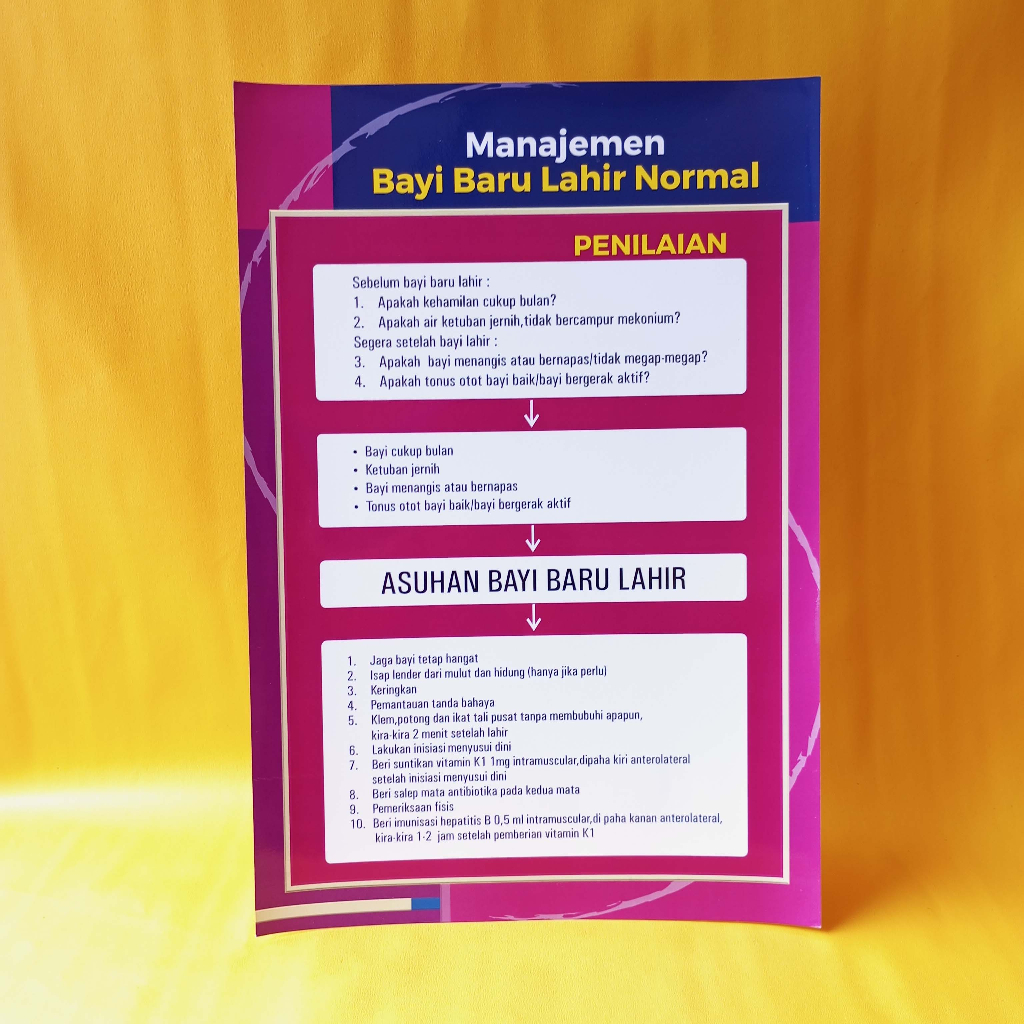 Poster Kebidanan | Poster Keperawatan | Poster Manajemen Bayi Baru Lahir Normal | Poster Persalinan 