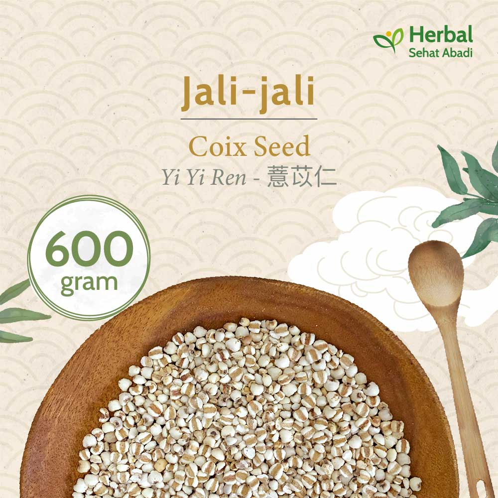 

Jali Jali China 600 gram / Coix Seed / Yi Yi Ren (薏苡仁) / Barley