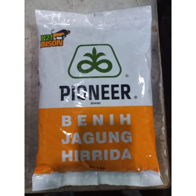 Benih Jagung Hibrida P21 BISON 1kg 100℅ Original