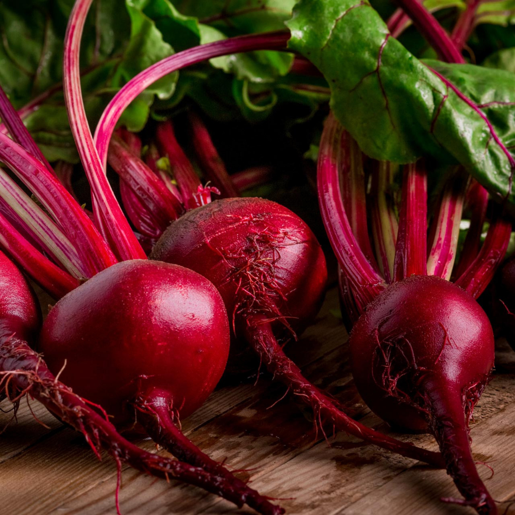 Benih Bibit Biji - Beetroot Detroit Dark Red Buah Bit Beet Merah Tua Manis Seeds - IMPORT