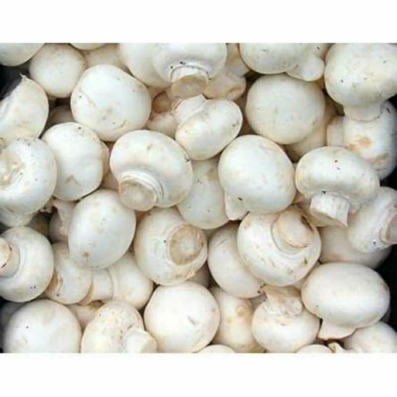 

Jamur champignon _ 200gr