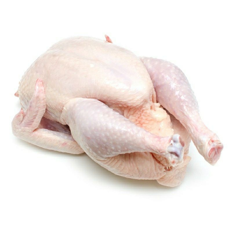 

Ayam Broiler Utuh / Chicken Whole / Ayam Karkas Frozen 0.8 - 0.9 Kg