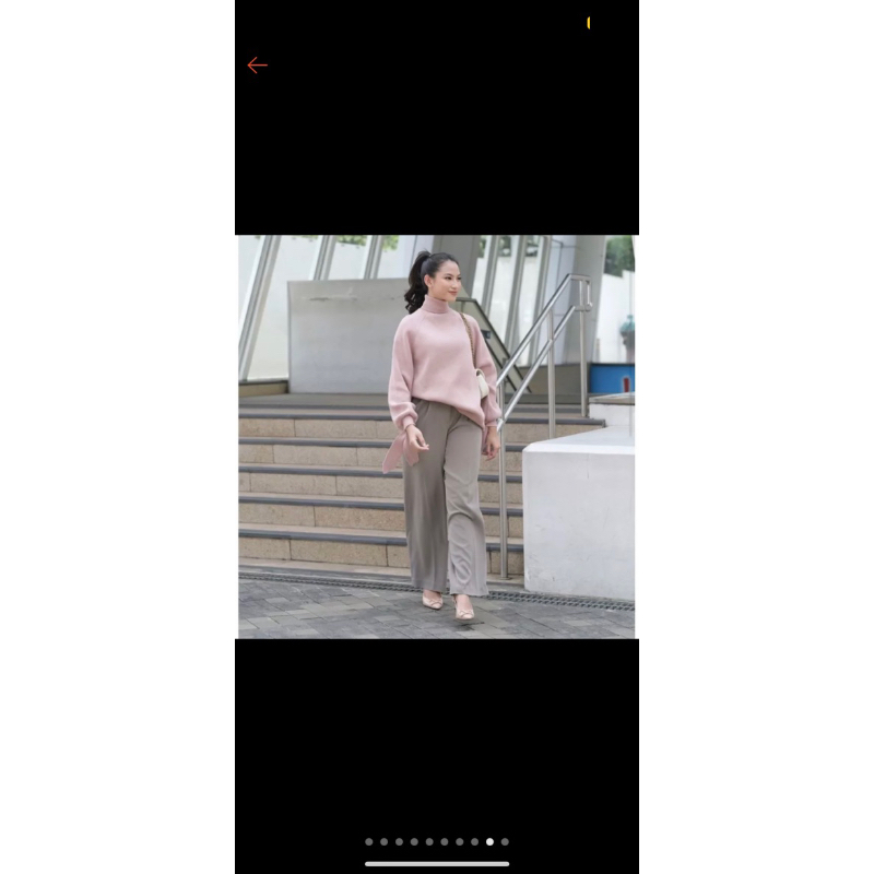 zara sweater gonegani