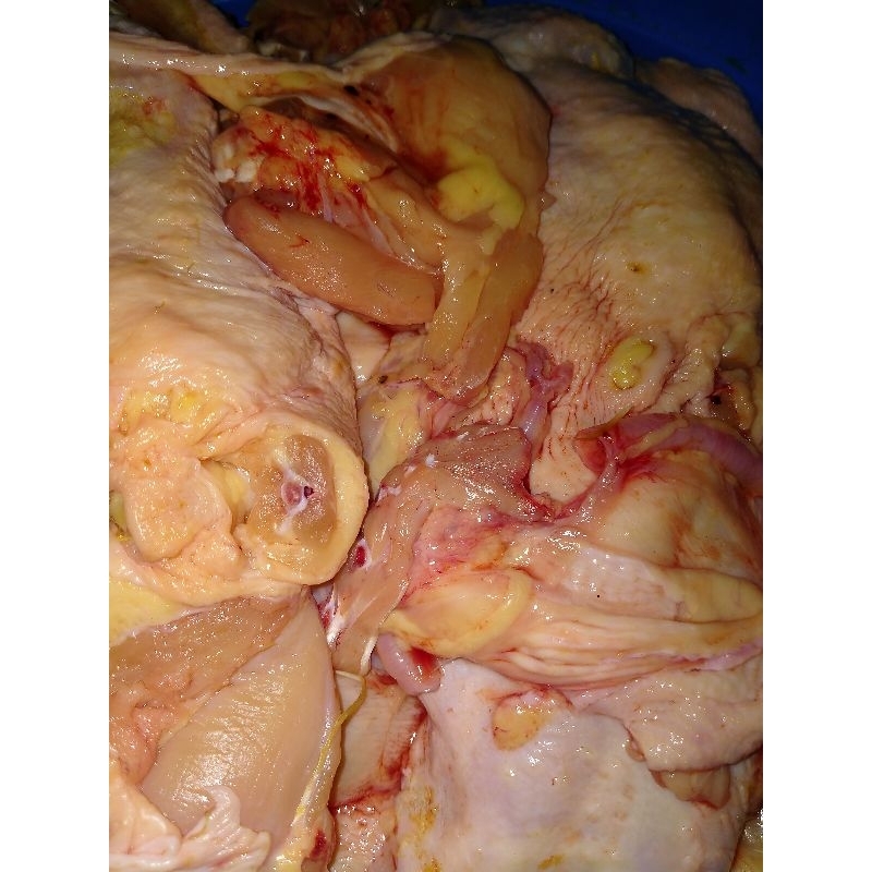 

daging ayam potong masih ada kulit fresh filet /fillet/ pasar online makassar