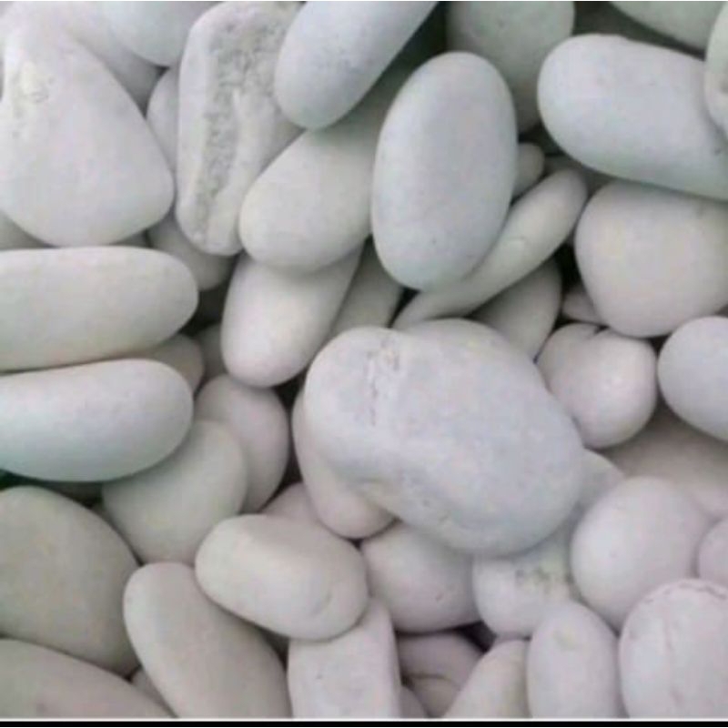 Batu koral putih,batu hiasan taman,hiasan kolam 1 kg.