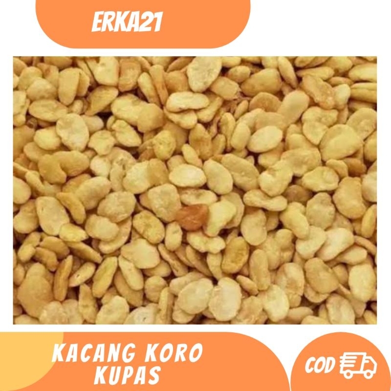 

Kacang koro kupas