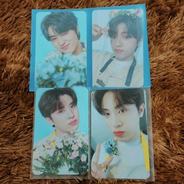 photocard treasure blooming haruto dan junghwan