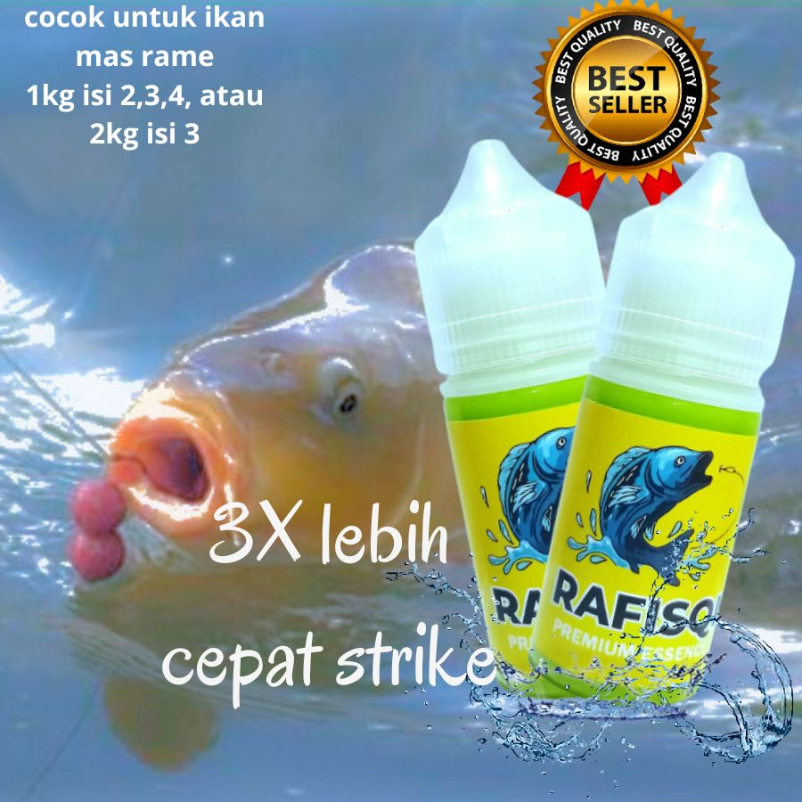 essen ikan mas rafisqi kilo gebrus paling bagus, essen ikan mas paling bagus untuk sekala umpan, ess