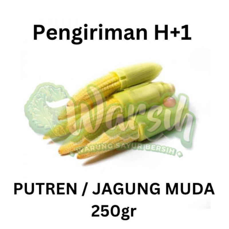 

WARSIH • PUTREN / JAGUNG MUDA 250GR