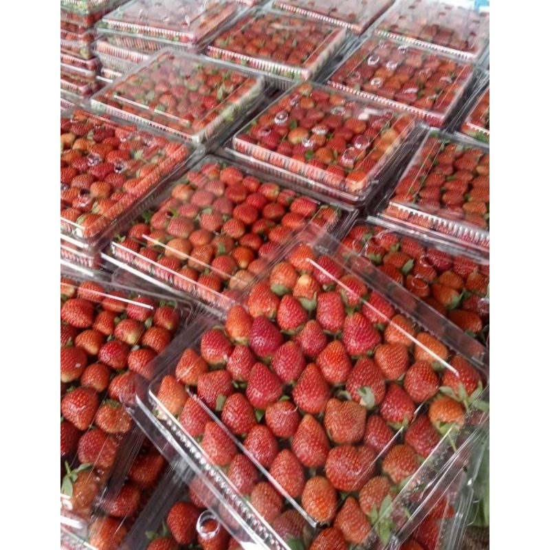 

Buah strawberry 1 mika