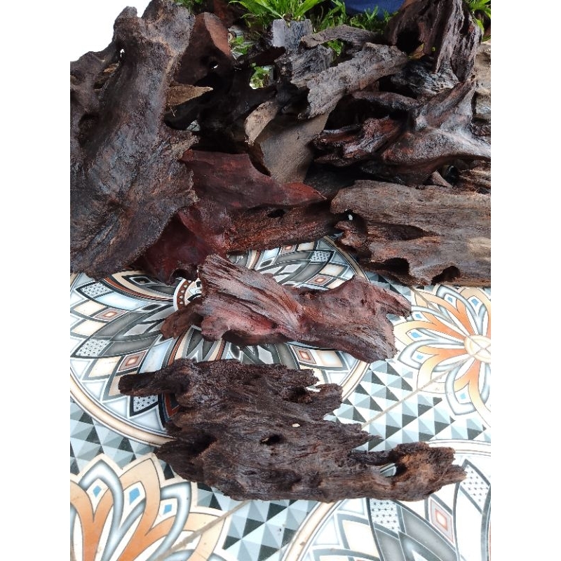 kayu rentek size s  kayu aquascape