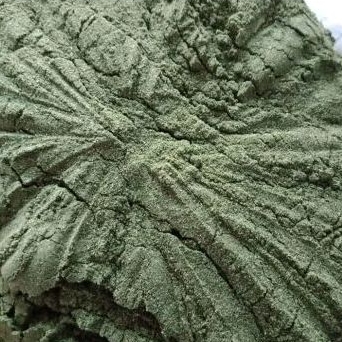 

Bubuk Daun Meniran 1kg