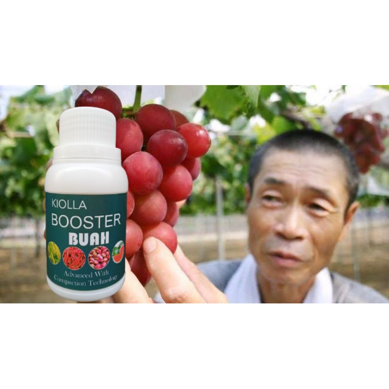 KIOLLA BOOSTER BUAH 100GR