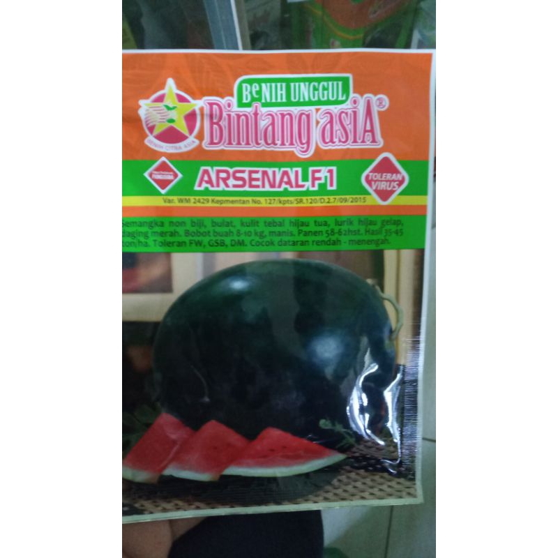 semangka arsenal original kemasan original