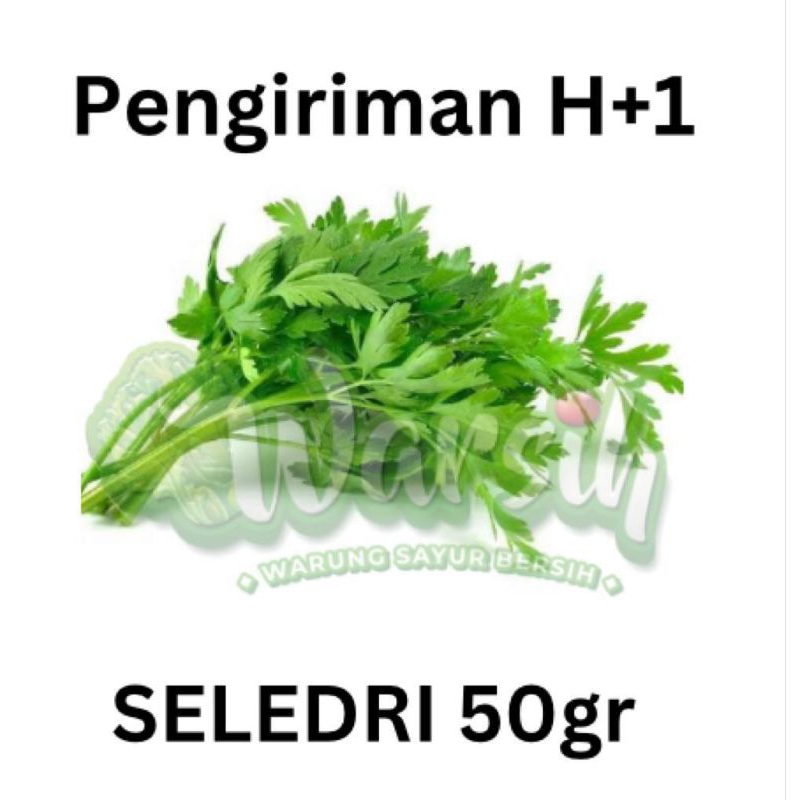 

WARSIH • SELEDRI 50GR