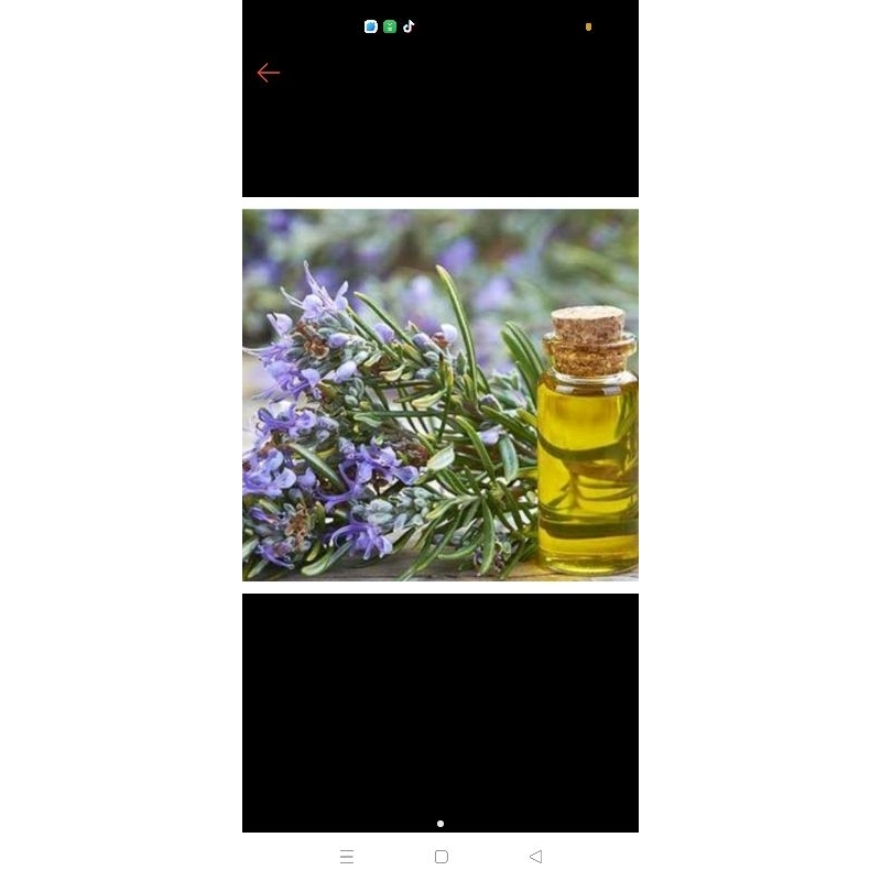 ROSSEMARrY OIL 100% PURE