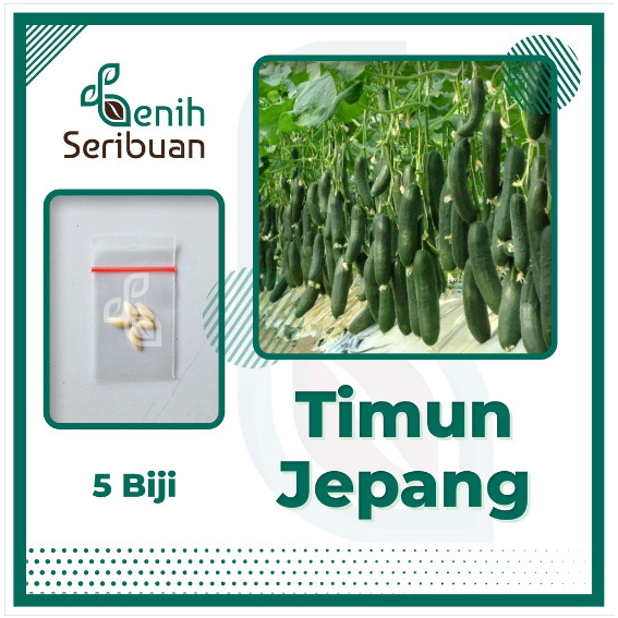 5 Benih Timun Jepang Ronaldo F1 Hibrida Sayuran Mentimun Jepang Unggul