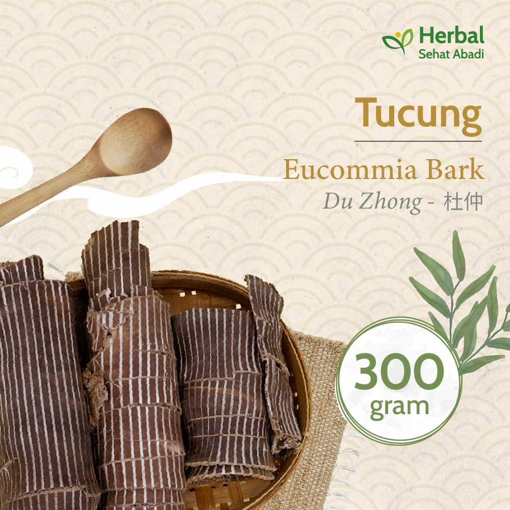 Du Zhong 300 gram / Eucommia Bark / Tucung
