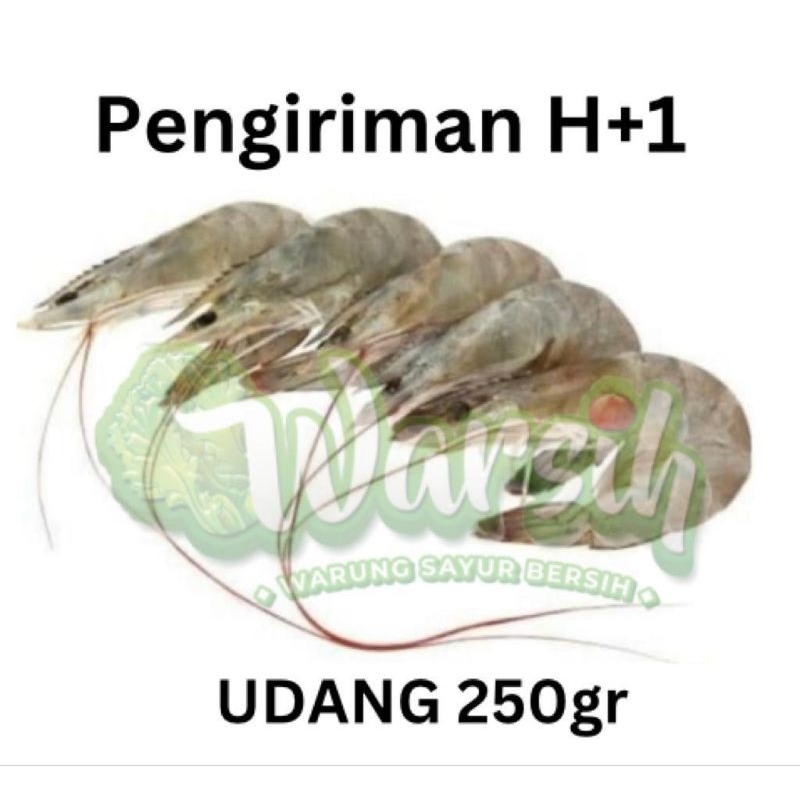 

WARSIH • UDANG SEGAR 250GR