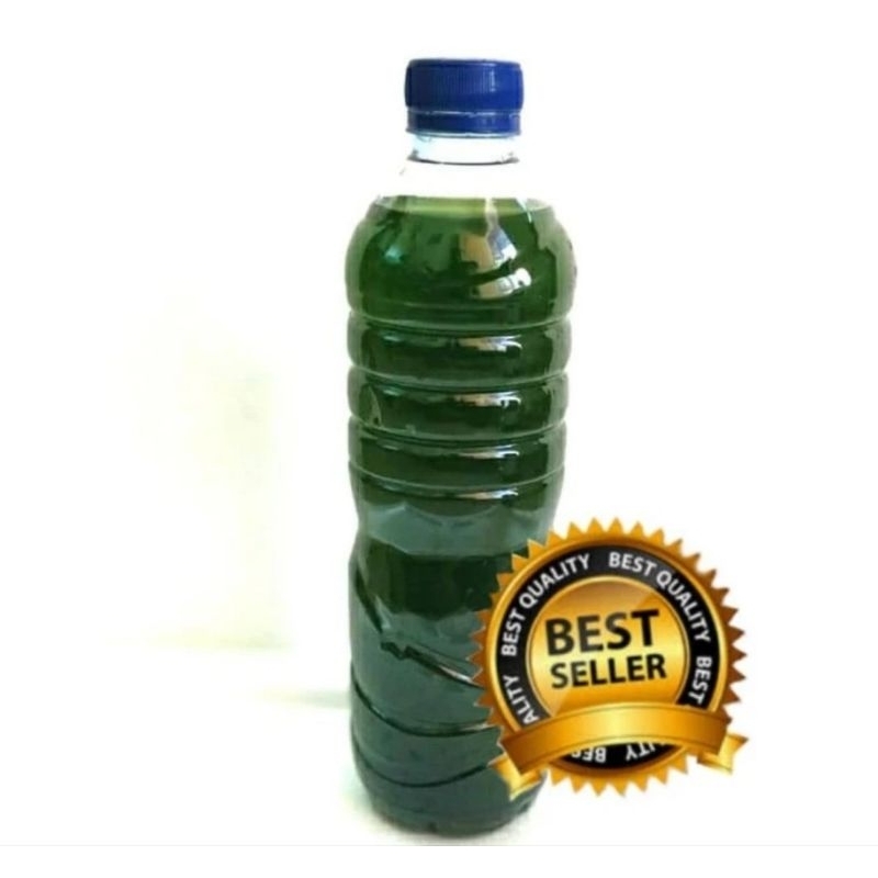 Chlorella murni untuk makanan telur kutir (600ml)