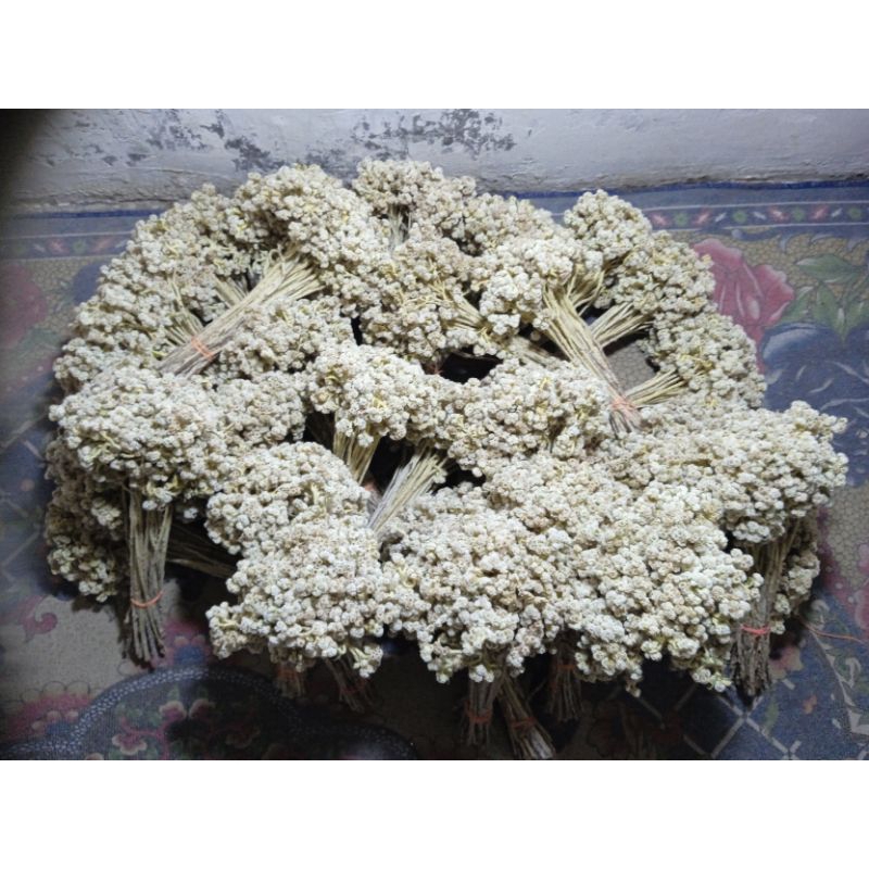 Paket Besar Edelweis Bromo untuk (RESELLER)