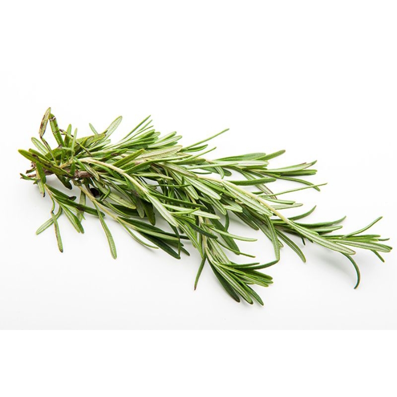

Fresh Rosemary