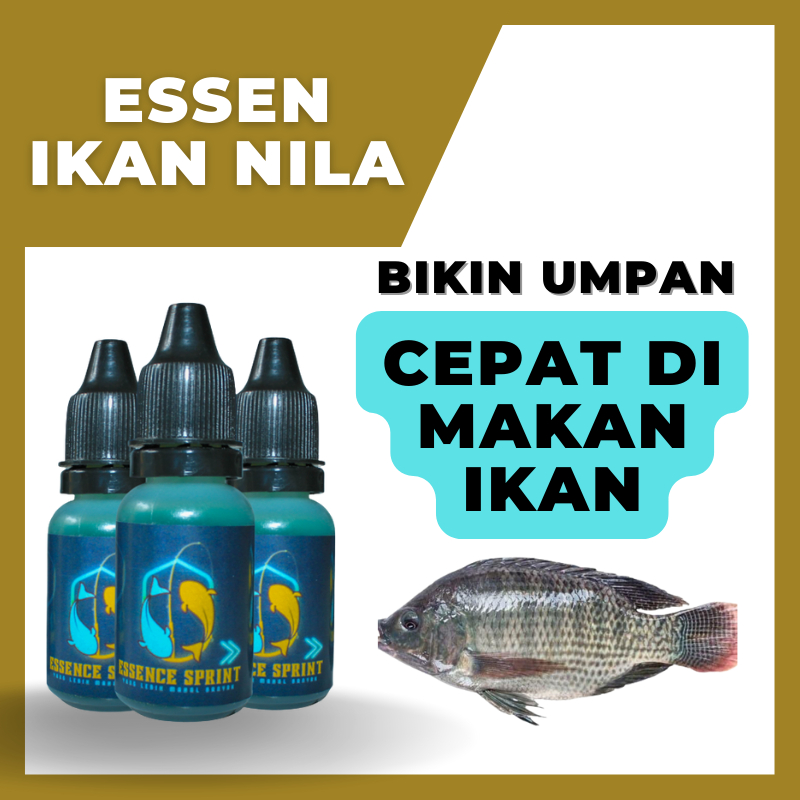 Essen Ikan Nila - Esen Nila Liar & Kolam Bisa Untuk Semua Umpan