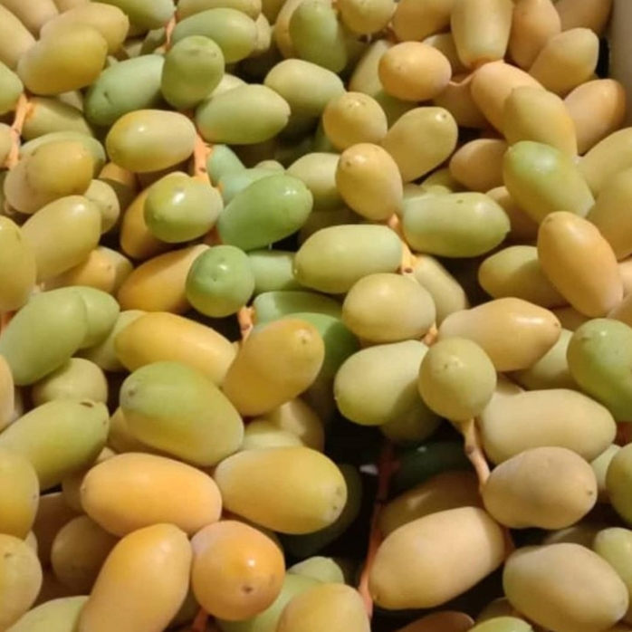 

Limited Kurma Muda Promil Kuning 1 Kg Segar Bukan Frozen