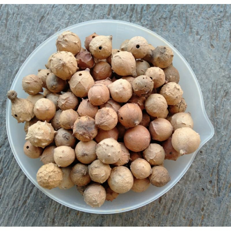 

Buah manjakani putih 1kg