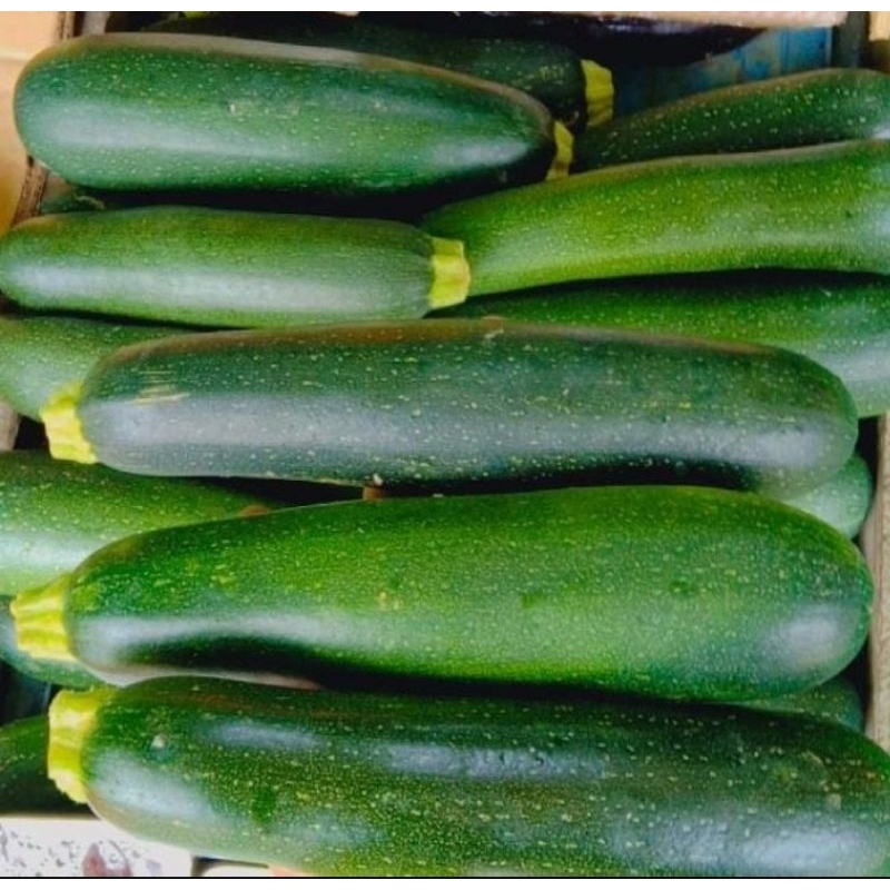 

zukini fresh 500 gr