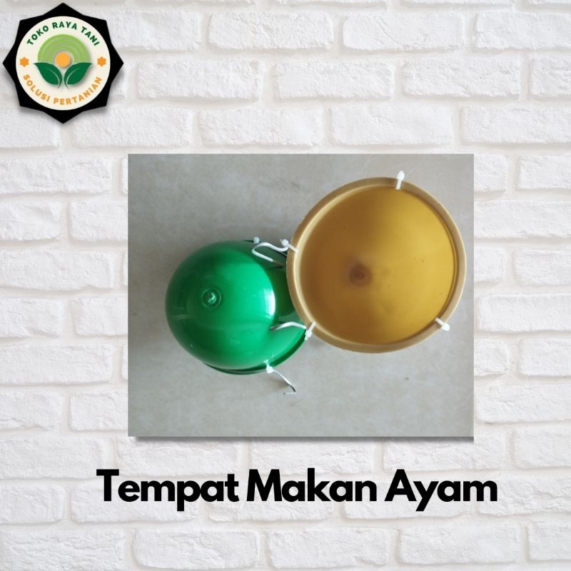 Tempat makan ayam Bangkok