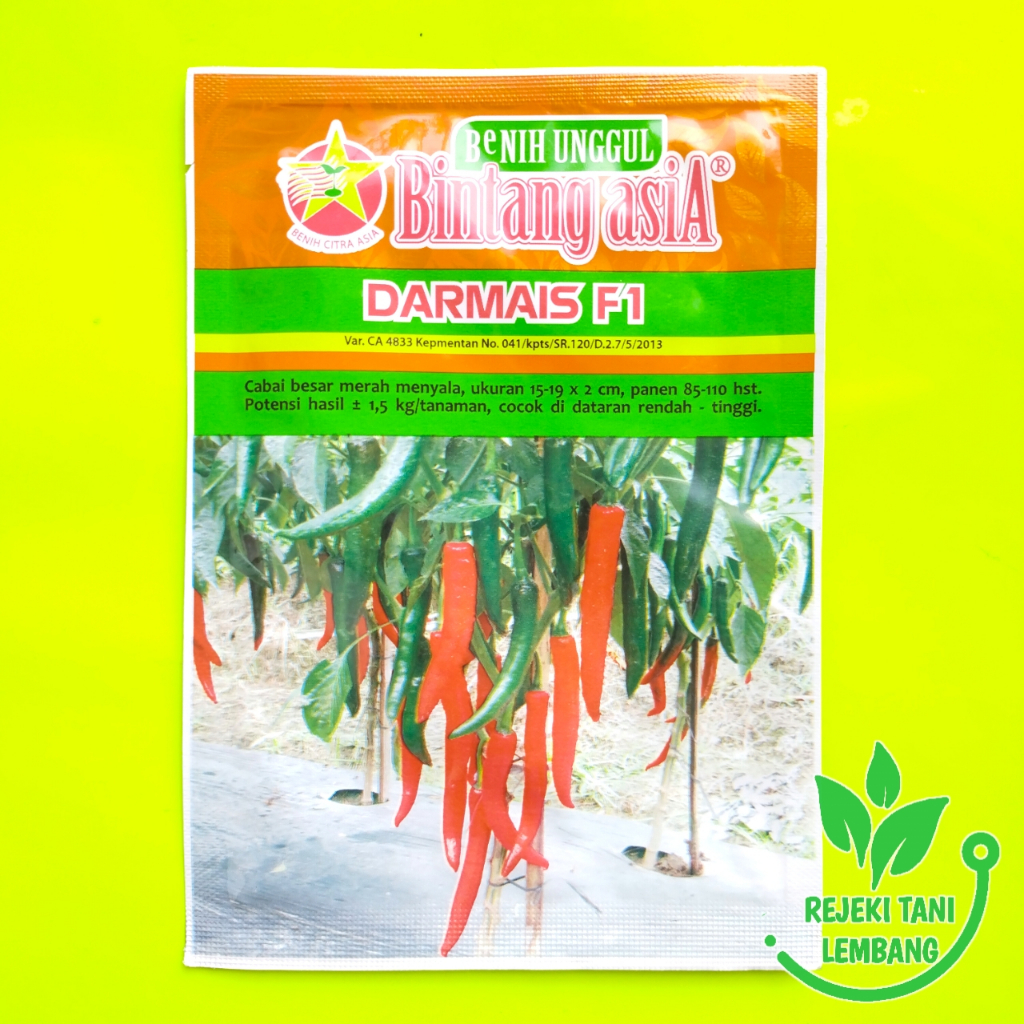 BENIH CABAI BESAR DARMAIS F1 ISI 10 GR