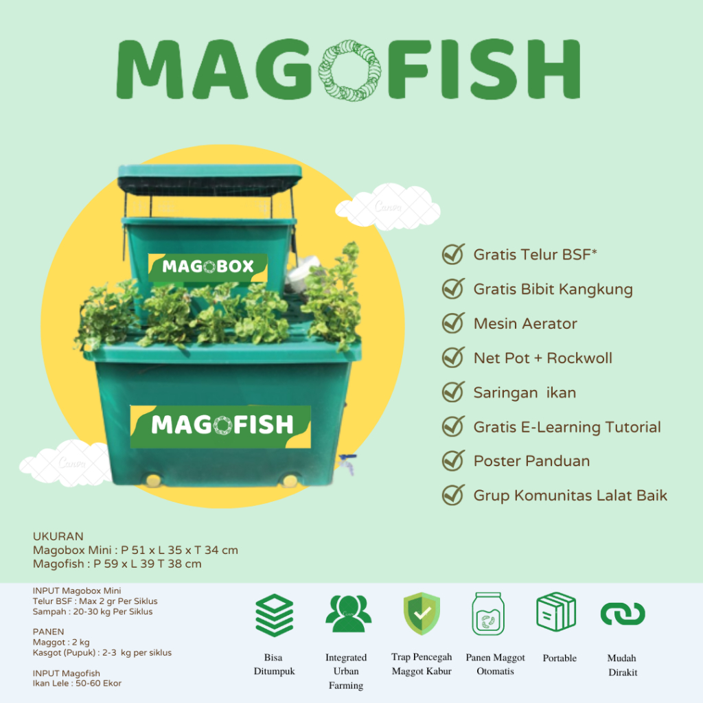 Magofish Box Pelihara Maggot BSF dan Ikan Lele Budikdamber Box