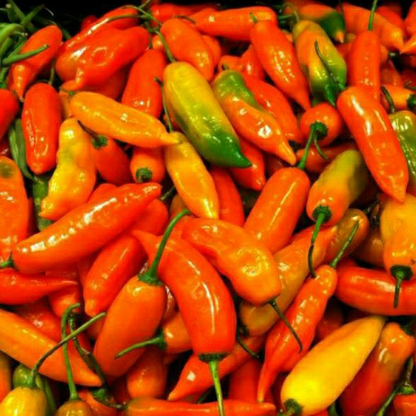 

Cabe Rawit Merah 250gr