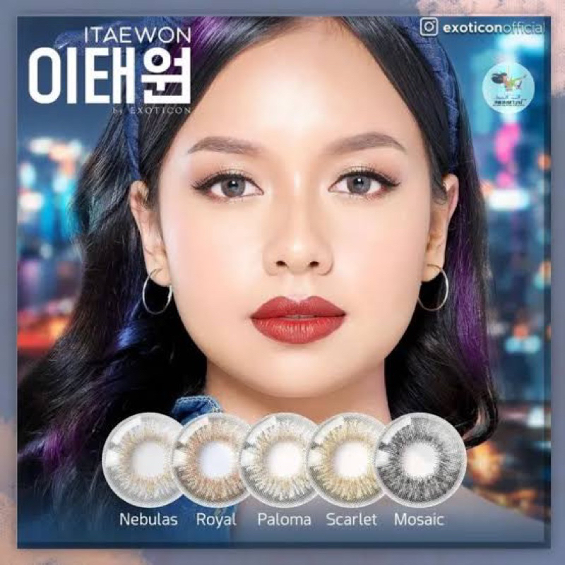 Itaewon By Exoticon Softlens