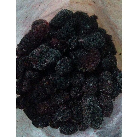 

Buah Blackberry/Mulberry Frozen/Murbey/Murbei Beku