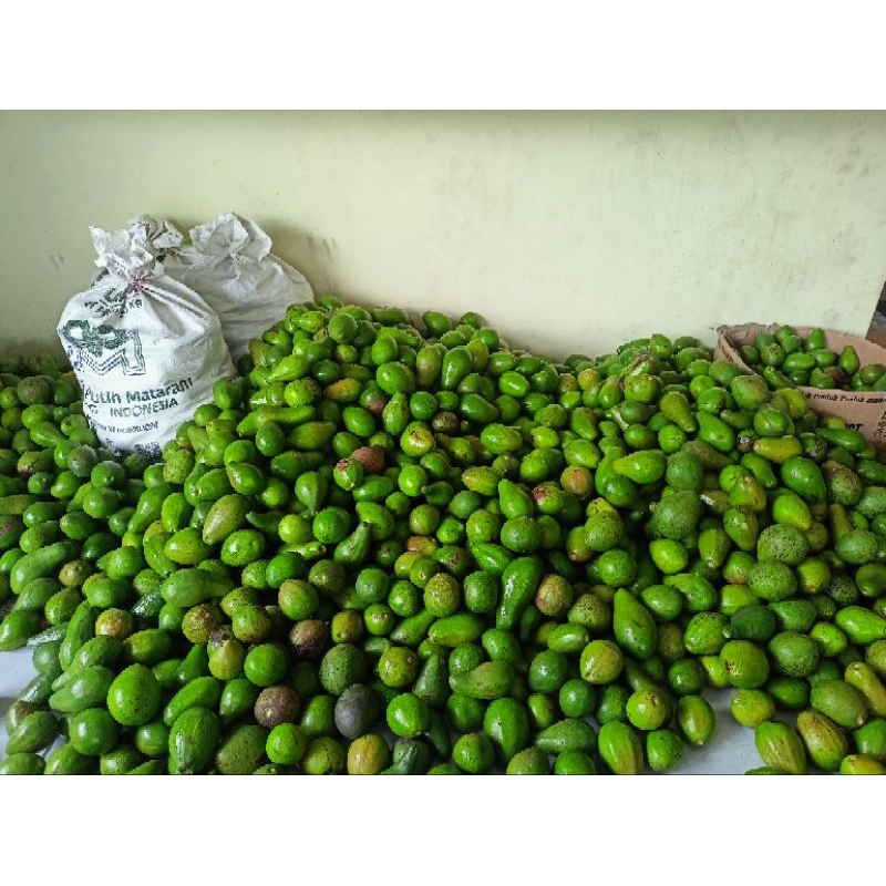 

Pokat mentega Batusangkar