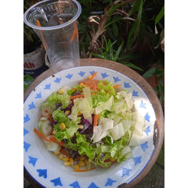 [Sayur Segar Semarang ] Paket sayur salad