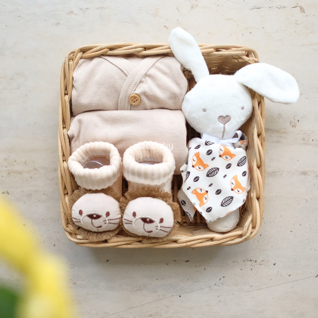 SAE ALEA SET - Hampers Premium Bayi, Hampers Bayi Newborn , Hampers Baby New Born, Kado Lahiran Premium, Hampers Bayi