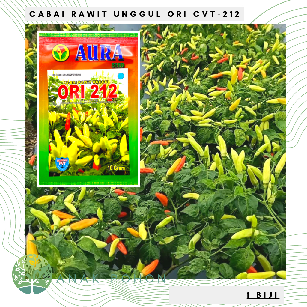 Benih Bibit Biji - Cabai Rawit Unggul ORI 212 Cabe Premium Primadona Viral Super Lebat &amp; Produktif Seeds - Panen Dalam 91 Hari