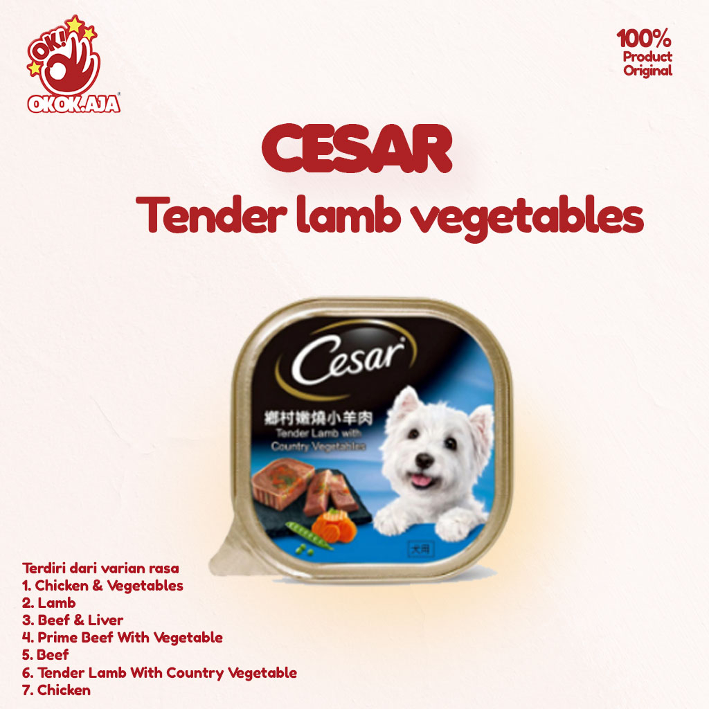 Makanan Anjing Cesar all variant 100gr